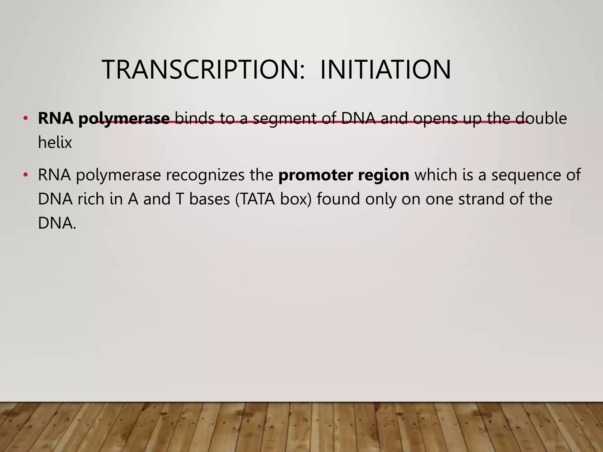 TRANSCRIPTION: INITIATION
• RNA polymerase binds to a segment of DNA and opens up the double
helix
• RNA polymerase recognizes the promoter region which is a sequence of
DNA rich in A and T bases (TATA box) found only on one strand of the
DNA.
 