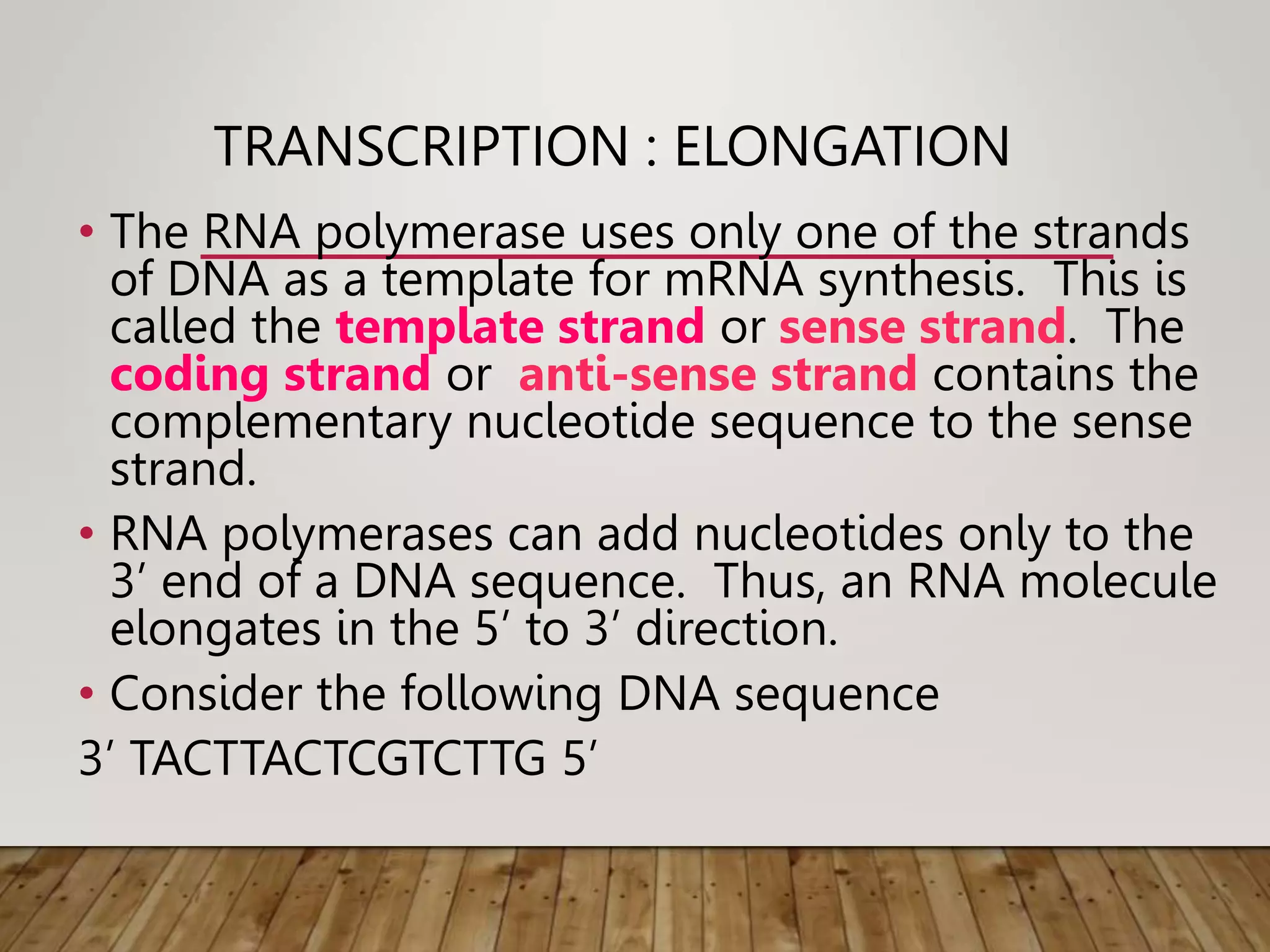 TRANSCRIPTION : ELONGATION
• The RNA polymerase uses only one of the strands
of DNA as a template for mRNA synthesis. This is
called the template strand or sense strand. The
coding strand or anti-sense strand contains the
complementary nucleotide sequence to the sense
strand.
• RNA polymerases can add nucleotides only to the
3’ end of a DNA sequence. Thus, an RNA molecule
elongates in the 5’ to 3’ direction.
• Consider the following DNA sequence
3’ TACTTACTCGTCTTG 5’
 