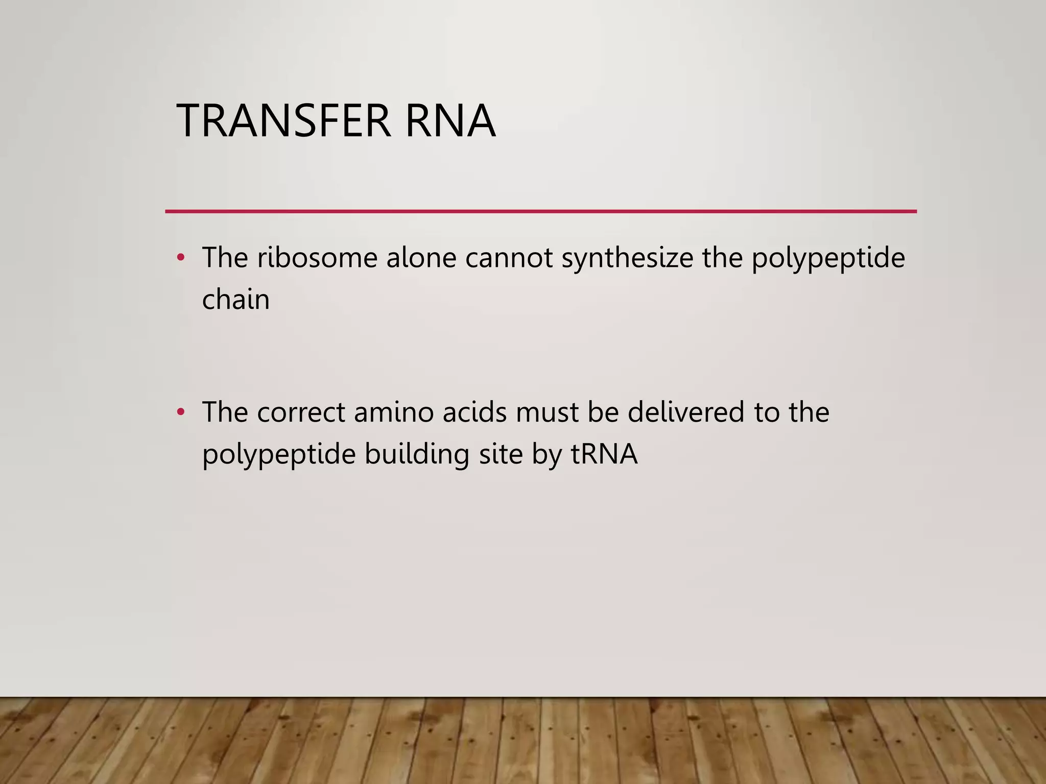 TRANSFER RNA
• The ribosome alone cannot synthesize the polypeptide
chain
• The correct amino acids must be delivered to the
polypeptide building site by tRNA
 