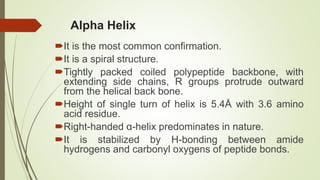 Alpha Helix
It is the most common confirmation.
It is a spiral structure.
Tightly packed coiled polypeptide backbone, with
extending side chains, R groups protrude outward
from the helical back bone.
Height of single turn of helix is 5.4Å with 3.6 amino
acid residue.
Right-handed α-helix predominates in nature.
It is stabilized by H-bonding between amide
hydrogens and carbonyl oxygens of peptide bonds.
 