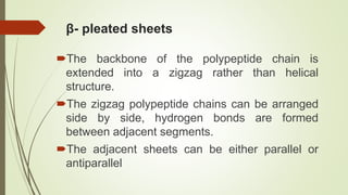 β- pleated sheets
The backbone of the polypeptide chain is
extended into a zigzag rather than helical
structure.
The zigzag polypeptide chains can be arranged
side by side, hydrogen bonds are formed
between adjacent segments.
The adjacent sheets can be either parallel or
antiparallel
 