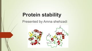 Protein stability
Presented by Amna shehzadi
 