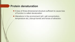 Protein denaturation
 A loss of three-dimensional structure sufficient to cause loss
of function is called denaturation
 Alterations in the environment (pH, salt concentration,
temperature etc.) disrupt bonds and forces of attraction.
 