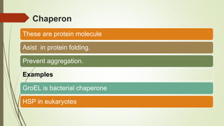 Chaperon
These are protein molecule
Asist in protein folding.
Prevent aggregation.
Examples
GroEL is bacterial chaperone
HSP in eukaryotes
 