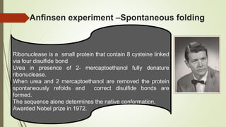 Anfinsen experiment –Spontaneous folding
Ribonuclease is a small protein that contain 8 cysteine linked
via four disulfide bond
Urea in presence of 2- mercaptoethanol fully denature
ribonuclease.
When urea and 2 mercaptoethanol are removed the protein
spontaneously refolds and correct disulfide bonds are
formed.
The sequence alone determines the native conformation.
Awarded Nobel prize in 1972.
 