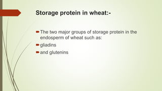 Storage protein in wheat:-
The two major groups of storage protein in the
endosperm of wheat such as:
gliadins
and glutenins
 
