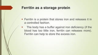 Ferritin as a storage protein
 Ferritin is a protein that stores iron and releases it in
a controlled fashion.
 The body has a buffer against iron deficiency (if the
blood has too little iron, ferritin can releases more).
Ferritin can help to store the excess iron.
 