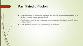 Facilitated diffusion
 Large molecules or those with a charge (not soluble in lipids) need to help of a
protein to pass across a cell membrane.
 Protein from a channel and molecules move through the doorway (from high to low
concentration ).
 Each channel is specific to a particuler type of molecule.
 