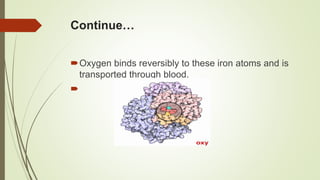 Continue…
Oxygen binds reversibly to these iron atoms and is
transported through blood.

 