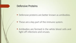 Defensive Proteins
 Defensive proteins are better known as antibodies.
 These are a key part of the immune system.
 Antibodies are formed in the white blood cells and
fight off infections and viruses.
 