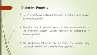 Defensive Proteins
 Defense proteins such as antibodies, which are also known
as immunoglobulin.
 Any of a class of proteins present in the serum and cells of
the immune system, which function as antibodies =
immunoglobulin.
 The antibodies set off a reaction inside the human body
that works to fight off the offending organism.
 