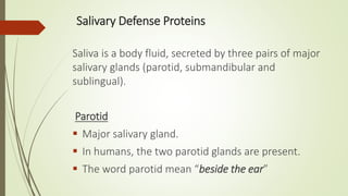 Salivary Defense Proteins
Saliva is a body fluid, secreted by three pairs of major
salivary glands (parotid, submandibular and
sublingual).
Parotid
 Major salivary gland.
 In humans, the two parotid glands are present.
 The word parotid mean “beside the ear”
 