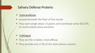 Salivary Defense Proteins
 Submandibular
 Located beneath the floor of the mouth.
 They each weigh about 15 grams and contribute some 60–67%
of unstimulated saliva secretion.
 Sublingual
 They are the smallest, most diffuse.
 They provide only 3-5% of the total salivary volume.
 