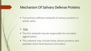 Mechanism Of Salivary Defense Proteins
 Five primary defense networks of salivary proteins in
whole saliva.
 First
 The first network may be responsible for microbial
agglutination.
 This network may include those salivary proteins and
peptides which bind bacteria (microbes).
 