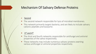 Mechanism Of Salivary Defense Proteins
 Second
 The second network responsible for lysis of microbial membranes.
 This network primarily targets bacteria, and are likely to include salivary
cationic peptides and lysozyme.
 3rd and 4th
 The third and fourth networks responsible for antifungal and antiviral
properties of the saliva respectively.
 These networks may include numerous salivary proteins exerting
various antifungal or antiviral properties respectively.
 