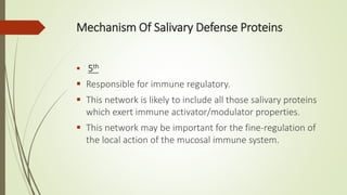 Mechanism Of Salivary Defense Proteins
 5th
 Responsible for immune regulatory.
 This network is likely to include all those salivary proteins
which exert immune activator/modulator properties.
 This network may be important for the fine-regulation of
the local action of the mucosal immune system.
 