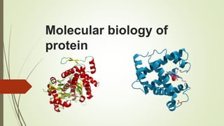 Molecular biology of
protein
 
