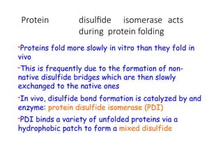 Protein disulfide isomerase acts
during protein folding
-Proteins fold more slowly in vitro than they fold in
vivo
-This is frequently due to the formation of non-
native disulfide bridges which are then slowly
exchanged to the native ones
-In vivo, disulfide bond formation is catalyzed by and
enzyme: protein disulfide isomerase (PDI)
-PDI binds a variety of unfolded proteins via a
hydrophobic patch to form a mixed disulfide
 