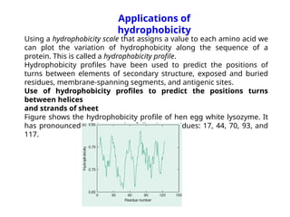 Applications of
hydrophobicity
Using a hydrophobicity scale that assigns a value to each amino acid we
can plot the variation of hydrophobicity along the sequence of a
protein. This is called a hydrophobicity profile.
Hydrophobicity profiles have been used to predict the positions of
turns between elements of secondary structure, exposed and buried
residues, membrane-spanning segments, and antigenic sites.
Use of hydrophobicity profiles to predict the positions turns
between helices
and strands of sheet
Figure shows the hydrophobicity profile of hen egg white lysozyme. It
has pronounced minima at the following residues: 17, 44, 70, 93, and
117.
 