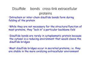 Disulfide bonds cross-link extracellular
proteins
-Intrachain or inter-chain disulfide bonds form during
folding of the protein
-While they are not necessary for the structure/function of
most proteins, they “lock in” a particular backbone fold
-Disulfide bonds are rarely in cytoplasmatic protein because
the cytosol is a reducing environment that would cleave the
disulfide bridges
-Most disulfide bridges occur in secreted proteins, i.e. they
are stable in the more oxidizing extracellular environment
 