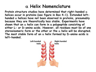  Helix Nomenclature
Protein structure studies have determined that right-handed 
helices occur in proteins (see figure i...