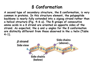 ß Conformation
A second type of secondary structure, the ß conformation, is very
common in proteins. In this structure ele...