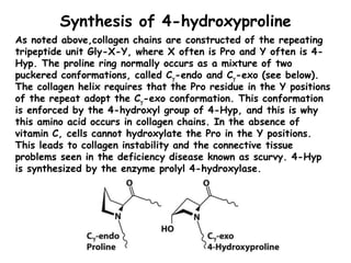 Synthesis of 4-hydroxyproline
As noted above,collagen chains are constructed of the repeating
tripeptide unit Gly-X-Y, whe...