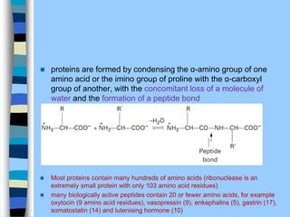  proteins are formed by condensing the ɑ-amino group of one
amino acid or the imino group of proline with the ɑ-carboxyl
group of another, with the concomitant loss of a molecule of
water and the formation of a peptide bond
 Most proteins contain many hundreds of amino acids (ribonuclease is an
extremely small protein with only 103 amino acid residues)
 many biologically active peptides contain 20 or fewer amino acids, for example
oxytocin (9 amino acid residues), vasopressin (9), enkephalins (5), gastrin (17),
somatostatin (14) and lutenising hormone (10)
 