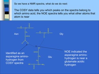 So we have a NMR spectra, what do we do next:
The COSY data tells you which peaks on the spectra belong to
which amino acid, the NOE spectra tells you what other atoms that
atom is near
NH2
CH
C
H2C
HO
O
CH2
C
OH
O
Asn Gly
Glu
H
N CH C
H
O
H
N CH C
CH2
O
C
N
O
H H
Identified as an
asparagine amino-
hydrogen from
COSY spectra
NOE indicated the
asparagine amino-
hydrogen is near a
glutamate acidic
hydrogen
 