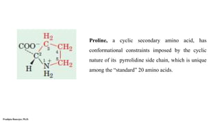 Protein Secondary Structure, Ramachandran Plot, Molecular Docking ...