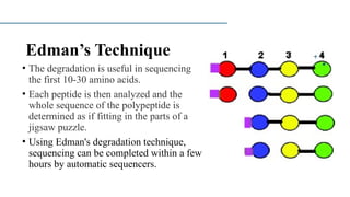 protein structure-1.pptx mbbs students 2025 | PPTX