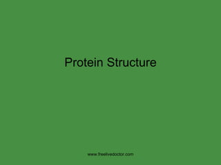 Protein Structure www.freelivedoctor.com 