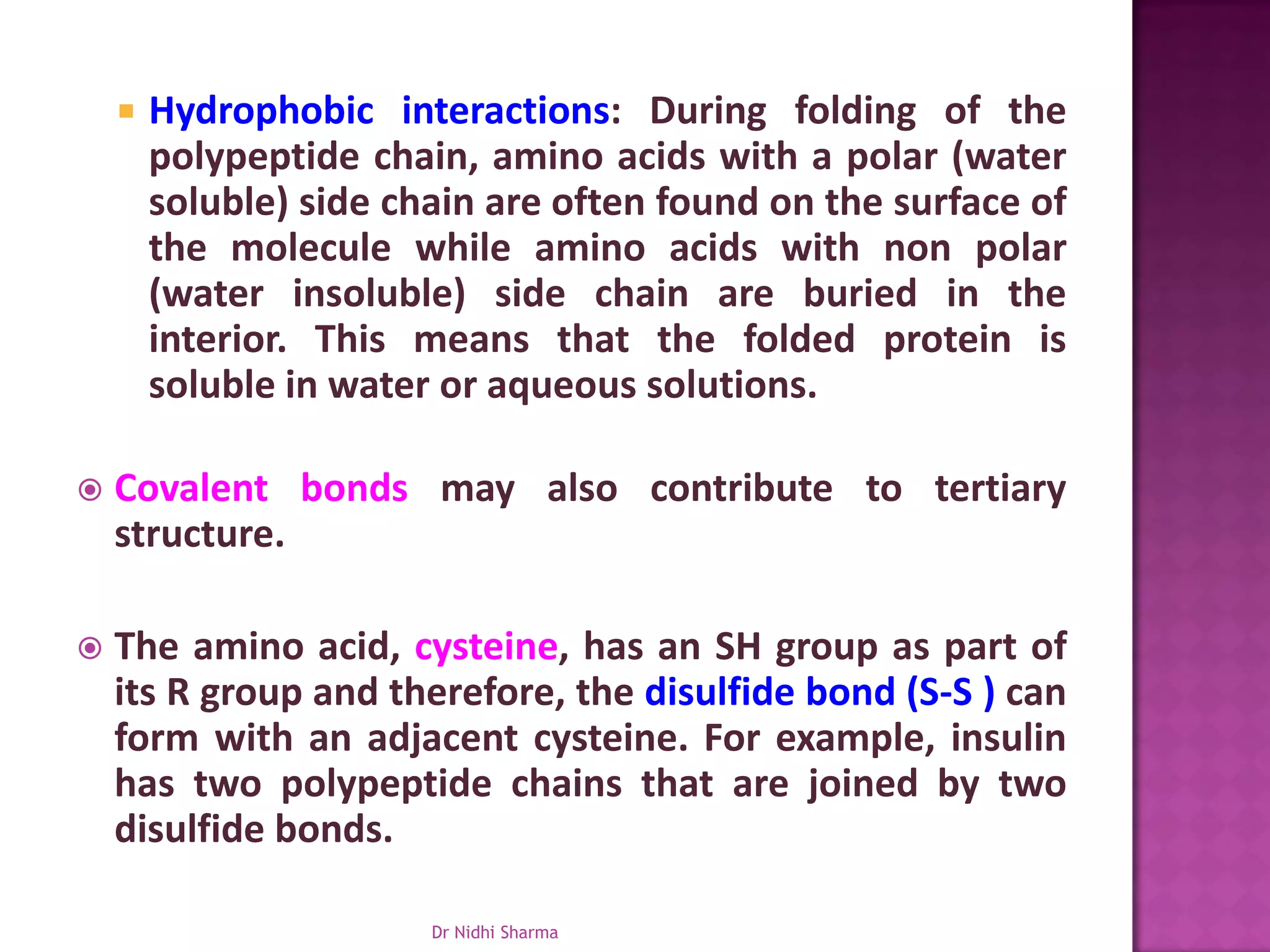    Hydrophobic interactions: During folding of the
        polypeptide chain, amino acids with a polar (water
        soluble) side chain are often found on the surface of
        the molecule while amino acids with non polar
        (water insoluble) side chain are buried in the
        interior. This means that the folded protein is
        soluble in water or aqueous solutions.

   Covalent bonds may also contribute to tertiary
    structure.

   The amino acid, cysteine, has an SH group as part of
    its R group and therefore, the disulfide bond (S-S ) can
    form with an adjacent cysteine. For example, insulin
    has two polypeptide chains that are joined by two
    disulfide bonds.

                        Dr Nidhi Sharma
 