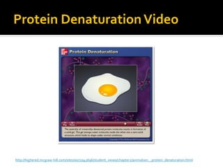 Protein Denaturation Video




http://highered.mcgraw-hill.com/sites/0072943696/student_view0/chapter2/animation__protein_denaturation.html
 