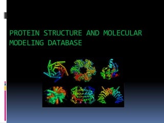 Protein structure | PPTX