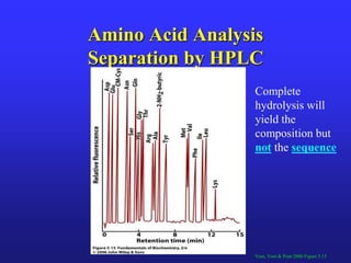 Amino Acid Analysis
Separation by HPLC
Voet, Voet & Pratt 2006 Figure 5.15
Complete
hydrolysis will
yield the
composition but
not the sequence
 