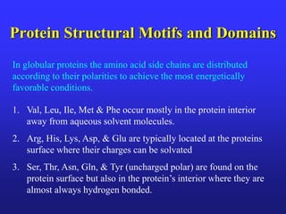 Protein Structural Motifs and Domains
In globular proteins the amino acid side chains are distributed
according to their polarities to achieve the most energetically
favorable conditions.
1. Val, Leu, Ile, Met & Phe occur mostly in the protein interior
away from aqueous solvent molecules.
2. Arg, His, Lys, Asp, & Glu are typically located at the proteins
surface where their charges can be solvated
3. Ser, Thr, Asn, Gln, & Tyr (uncharged polar) are found on the
protein surface but also in the protein’s interior where they are
almost always hydrogen bonded.
 