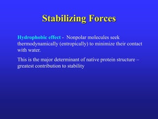 Stabilizing Forces
Hydrophobic effect - Nonpolar molecules seek
thermodynamically (entropically) to minimize their contact
with water.
This is the major determinant of native protein structure –
greatest contribution to stability
 