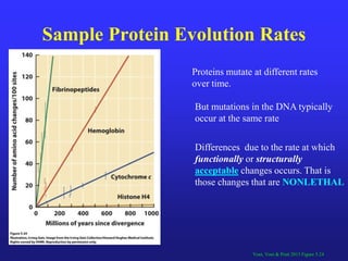 Protein structure Slide 39