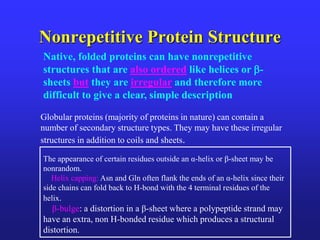 Protein structure Slide 58