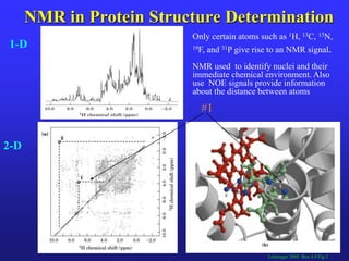 Protein structure Slide 67