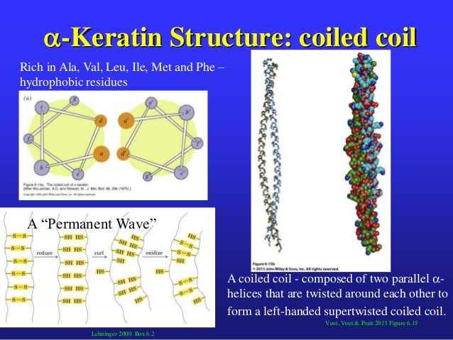 Protein structure