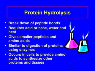 Protein Hydrolysis 
15 
• Break down of peptide bonds 
• Requires acid or base, water and 
heat 
• Gives smaller peptides and 
amino acids 
• Similar to digestion of proteins 
using enzymes 
• Occurs in cells to provide amino 
acids to synthesize other 
proteins and tissues 
 