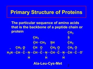 Primary Structure of Proteins 
The particular sequence of amino acids 
that is the backbone of a peptide chain or 
protein 
CH3 
S 
CH2 
2 
CH3 
H3N CH 
O 
C 
N 
H 
O 
CH3 
CH C 
N 
H 
O 
SH 
CH C 
N 
H 
O 
CH C O-CH 
CH CH3 
CH2 
CH2 
+ 
Ala-Leu-Cys-Met 
 