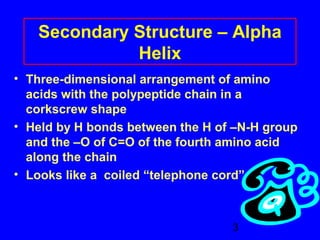 Secondary Structure – Alpha 
3 
Helix 
• Three-dimensional arrangement of amino 
acids with the polypeptide chain in a 
corkscrew shape 
• Held by H bonds between the H of –N-H group 
and the –O of C=O of the fourth amino acid 
along the chain 
• Looks like a coiled “telephone cord” 
 
