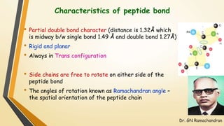 Characteristics of peptide bond 
• Partial double bond character (distance is 1.32Å which 
is midway b/w single bond 1.49 Å and double bond 1.27Å) 
• Rigid and planar 
• Always in Trans configuration 
• Side chains are free to rotate on either side of the 
peptide bond 
• The angles of rotation known as Ramachandran angle – determine 
the spatial orientation of the peptide chain 
Dr. GN Ramachandran 
 
