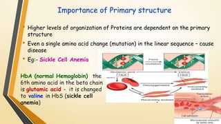 Importance of Primary structure 
• Higher levels of organization of Proteins are dependent on the primary 
structure 
• Even a single amino acid change (mutation) in the linear sequence – cause 
disease 
• Eg:- Sickle Cell Anemia 
HbA (normal Hemoglobin) the 
6th amino acid in the beta chain 
is glutamic acid - it is changed 
to valine in HbS (sickle cell 
anemia) 
 