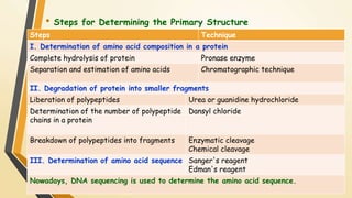 • Steps for Determining the Primary Structure 
Steps Technique 
I. Determination of amino acid composition in a protein 
Complete hydrolysis of protein Pronase enzyme 
Separation and estimation of amino acids Chromatographic technique 
II. Degradation of protein into smaller fragments 
Liberation of polypeptides Urea or guanidine hydrochloride 
Determination of the number of polypeptide 
Dansyl chloride 
chains in a protein 
Breakdown of polypeptides into fragments Enzymatic cleavage 
Chemical cleavage 
III. Determination of amino acid sequence Sanger's reagent 
Edman's reagent 
Nowadays, DNA sequencing is used to determine the amino acid sequence. 
 
