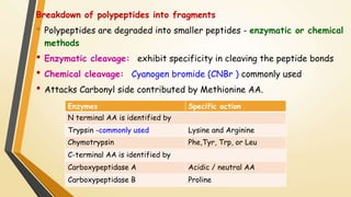 Breakdown of polypeptides into fragments 
• Polypeptides are degraded into smaller peptides - enzymatic or chemical 
methods 
• Enzymatic cleavage: exhibit specificity in cleaving the peptide bonds 
• Chemical cleavage: Cyanogen bromide (CNBr ) commonly used 
• Attacks Carbonyl side contributed by Methionine AA. 
Enzymes Specific action 
N terminal AA is identified by 
Trypsin -commonly used Lysine and Arginine 
Chymotrypsin Phe,Tyr, Trp, or Leu 
C-terminal AA is identified by 
Carboxypeptidase A Acidic / neutral AA 
Carboxypeptidase B Proline 
 