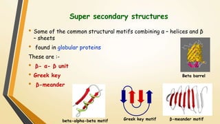 Super secondary structures 
• Some of the common structural motifs combining α – helices and β 
– sheets 
• found in globular proteins 
These are :- 
• β- α- β unit 
• Greek key 
• β-meander 
Beta barrel 
beta-alpha-beta motif Greek key motif β-meander motif 
 
